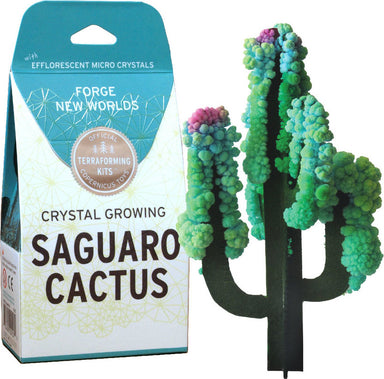Crystal Growing Saguaro Cactus