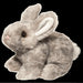 Tyler Bunny