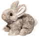 Tyler Bunny