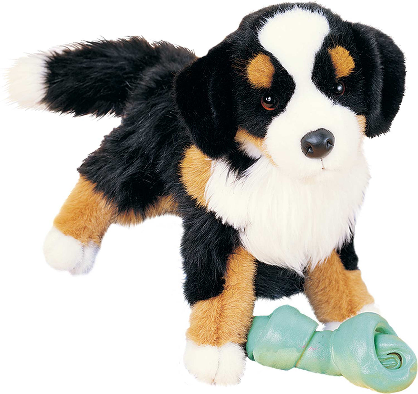 Trevor Bernese Mountain Dog