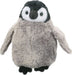 Cuddles Penguin Chick