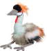 Nia African Crowned Crane