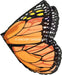 Orange Monarch Butterfly Wings