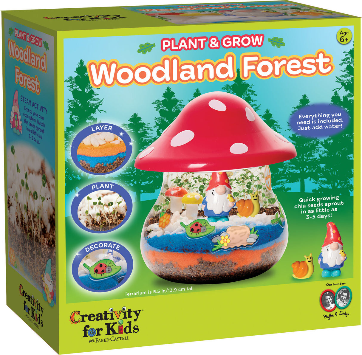 Plant & Grow Woodland Forest