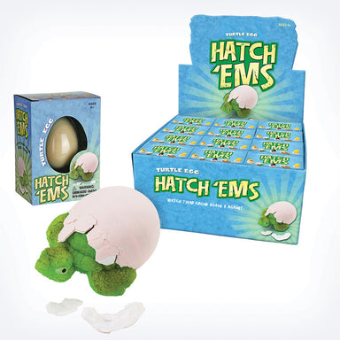 Hatch'ems Turtle Eggs