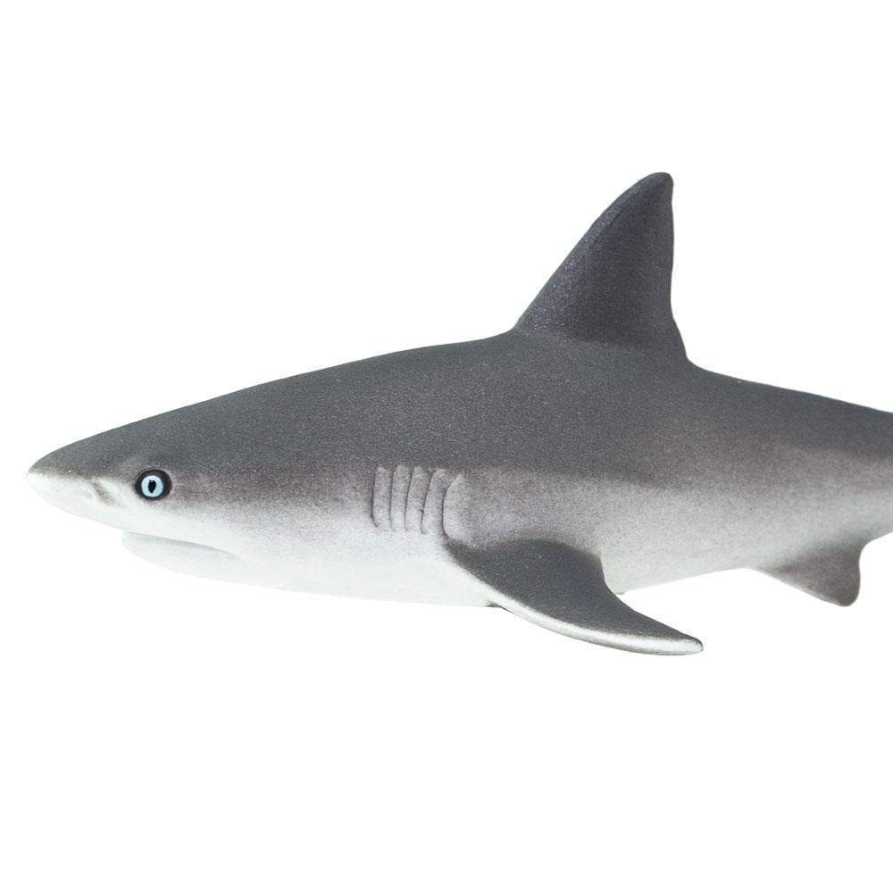 Gray Reef Shark Figurine