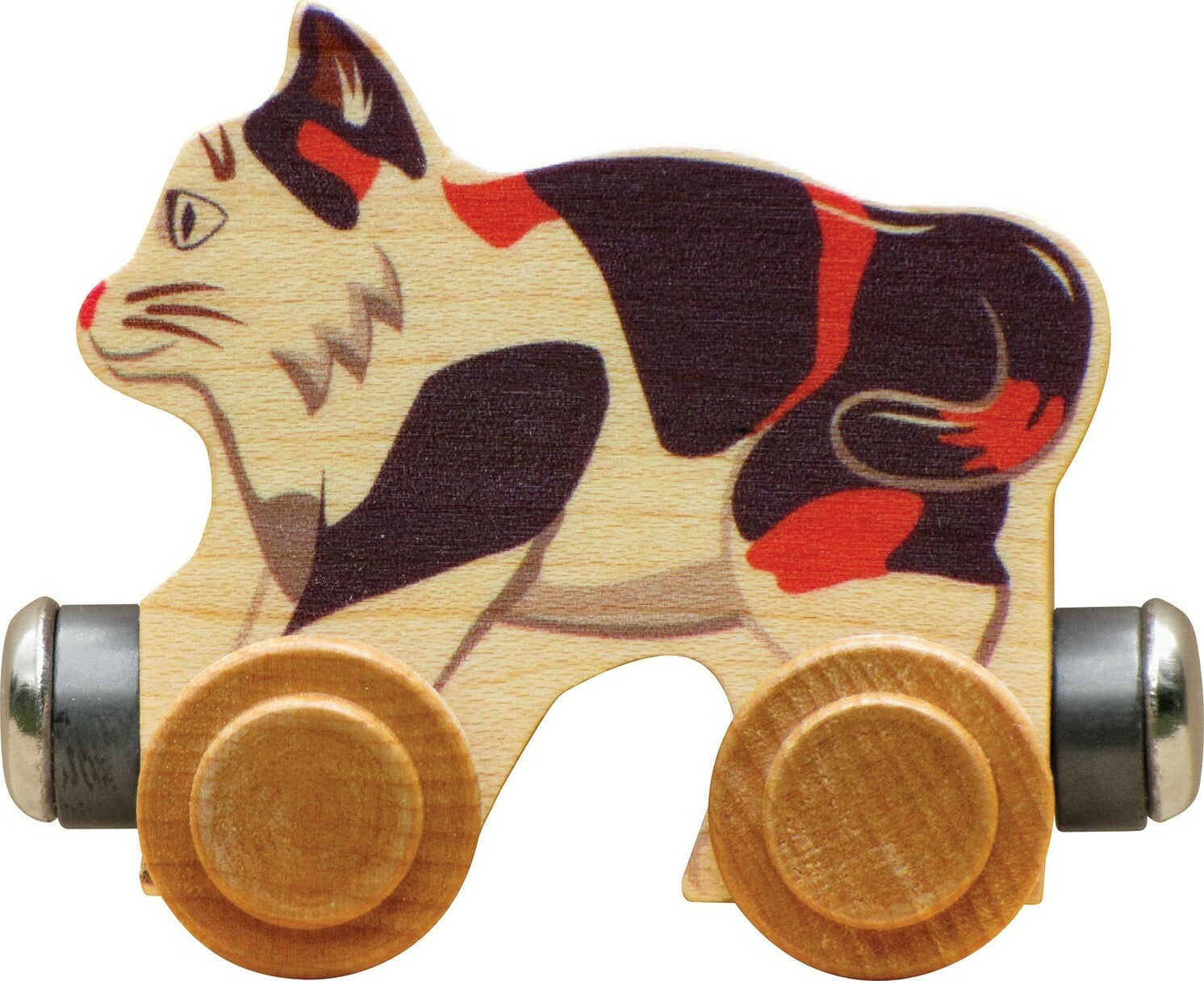 Name Train Callie Cat