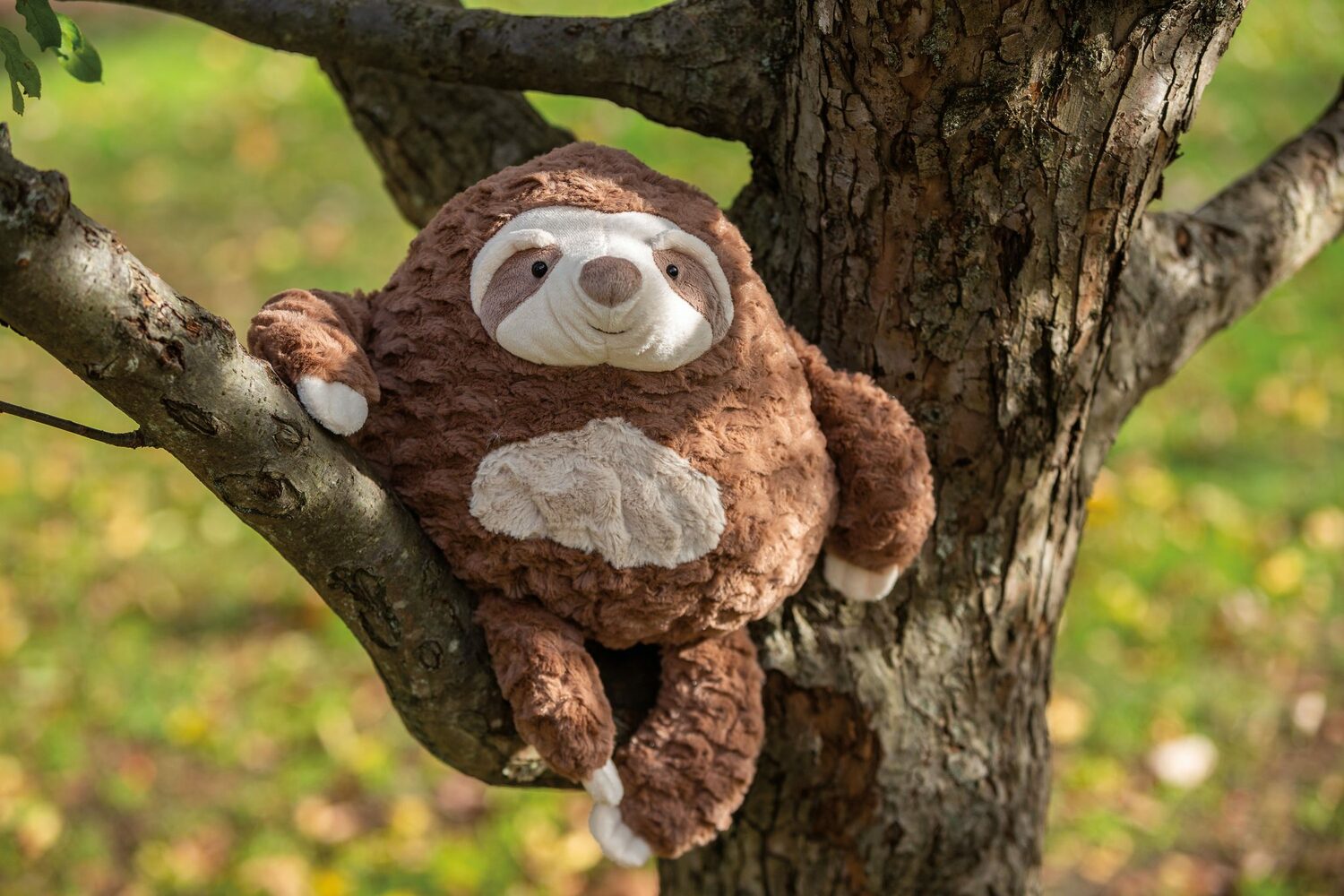 Puffernutter Sloth