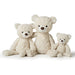 Cream Putty Bear