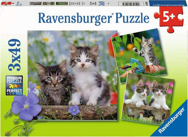 Cuddly Kittens (3 x 49 pc Puzzle)