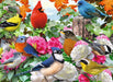 500pc Puzzle - Garden Birds