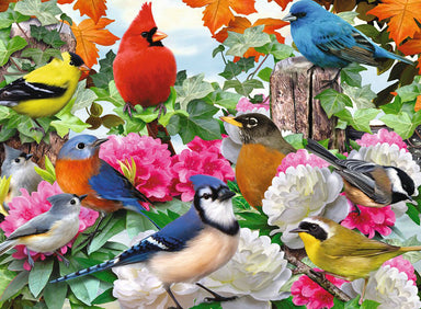 500pc Puzzle - Garden Birds