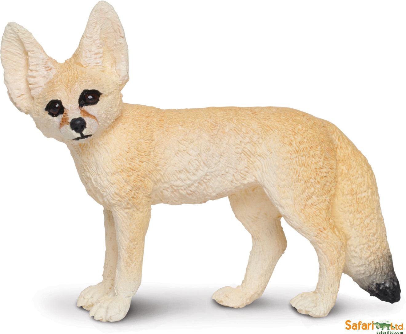 Fennec Fox