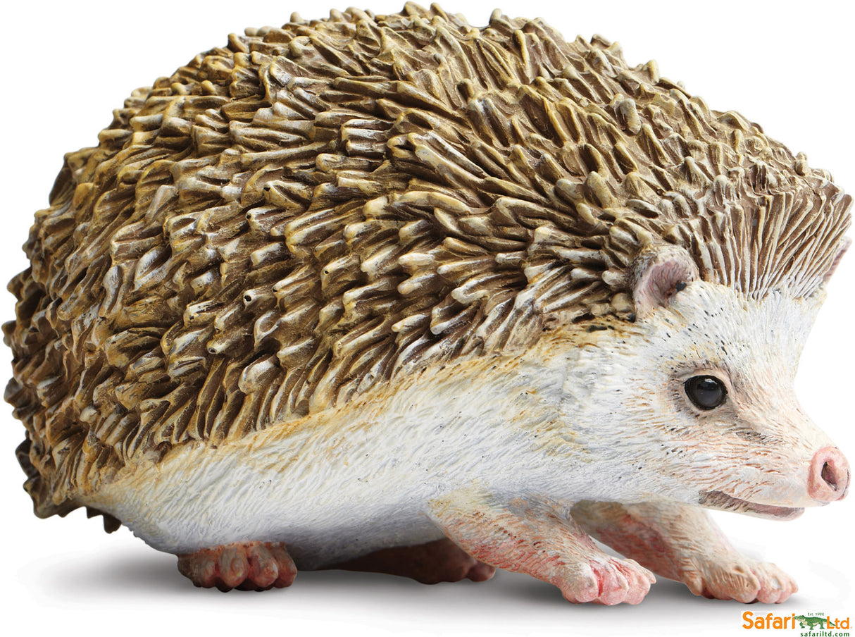 Hedgehog