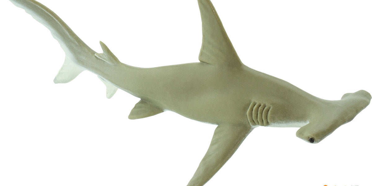 Hammerhead Shark Figurine — Boing! Toy Shop