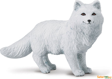 Arctic Fox