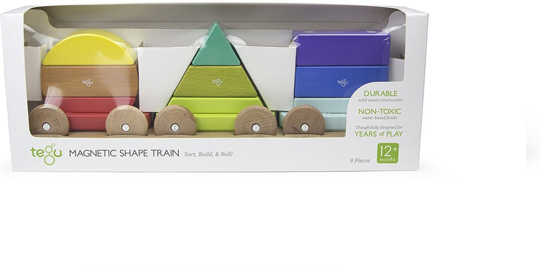 Magnetic Shape Train Tegu Baby and Toddler (9 pieces) color: RAINBOW