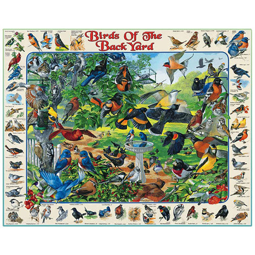 1000pc Puzzle - Birds of the Backyard